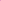 ST-13 Phytolacca Berry Slim-For Sliming