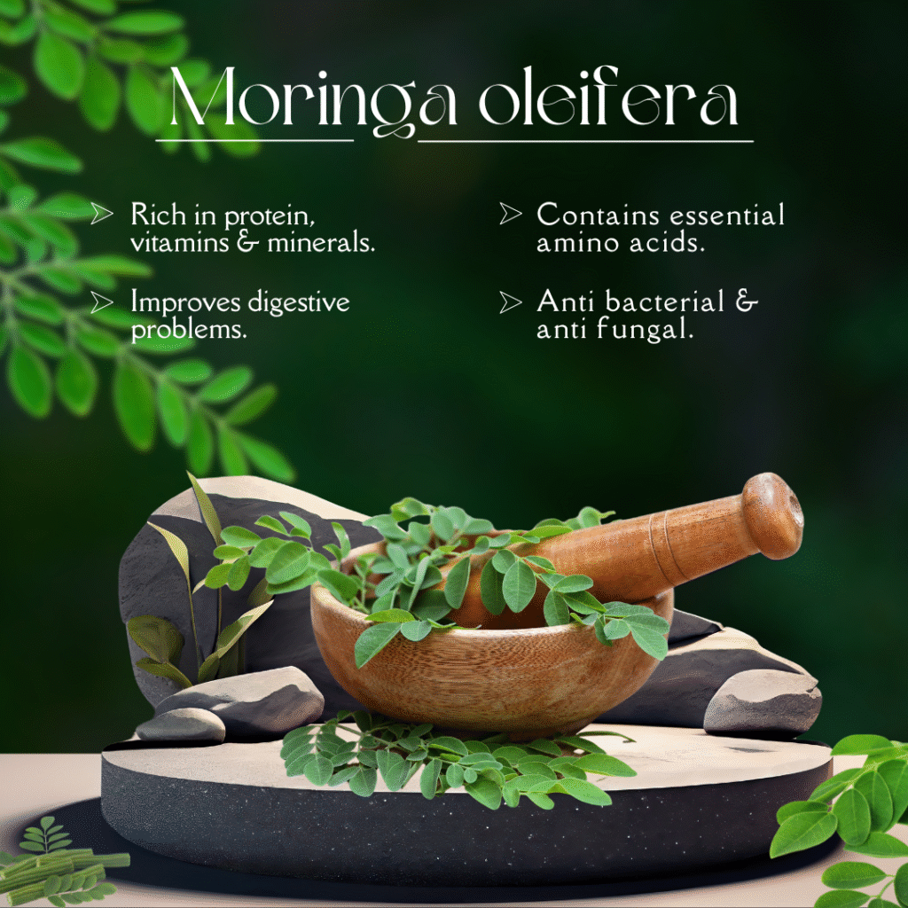 Moringa Oleifera: The Miracle Tree with Immense Health Benefits