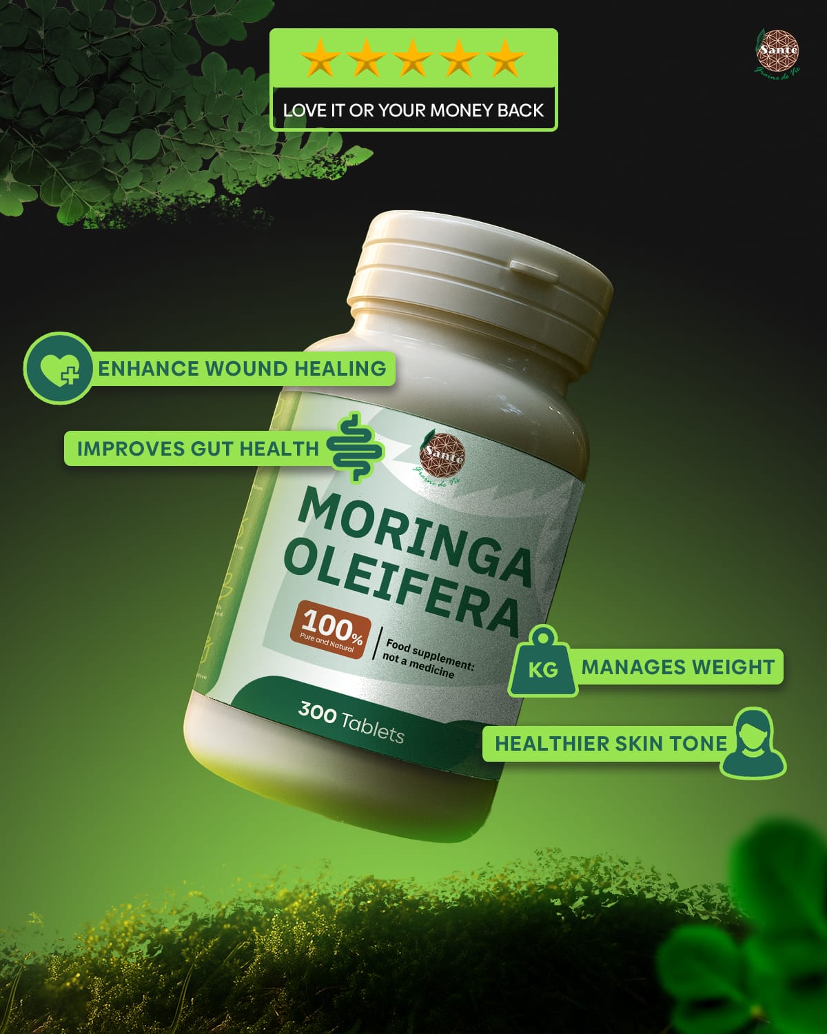 Moringa Oleifera Tablets - Image 4